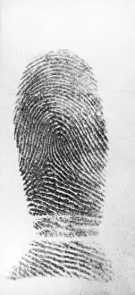 Nassau Prints: De Marigny's Fingerprint