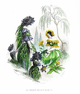 Grandville Prints: Marigold - Hand colored plate from 'Les Fleurs Animees by J.J.Grandville 1867