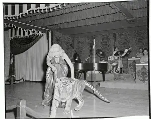 Tiger Prints: Marilyn Maxwell Posing with Her Tiger