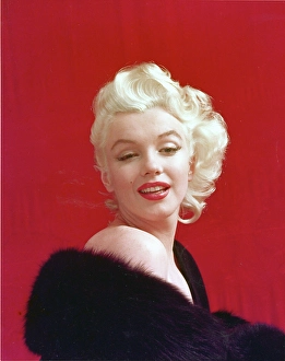 marilyn monroe portrait