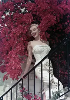 Marilyn Monroe Portrait