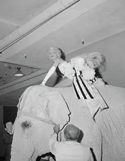 Animal Riding Prints: Marilyn Monroe Riding Elephant