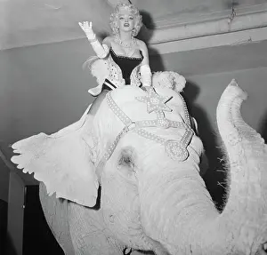 Marilyn Monroe Riding Elephant