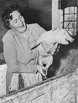Barn Prints: Marilyn Monroe's Half Sister Holding Piglet