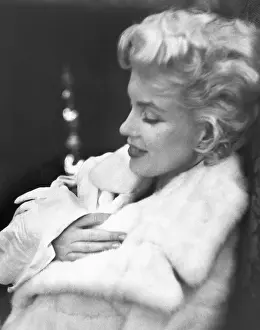 Prints of NEW YORK - MARCH 24: Actress Marilyn Monroe rests her eyes wearing a white fur coat on March 24, 1955 in New York City, New York. (Photo by Ed Feingersh/Michael Ochs Archives/Getty Images) Marilyn Monroe: The Eternal Star Prints: Marilyn Resting