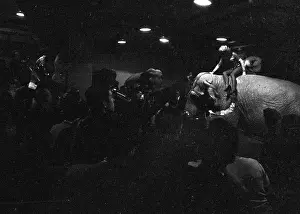 Prints of NEW YORK - MARCH 1955: Movie star Marilyn Monroe rides a pink elephant in Madison Square Garden for a circus charity event as she is surrounded by photographers in March 1955 in New York City Marilyn Monroe: The Iconic Muse Prints: Marilyn Rides A Pink Elephant