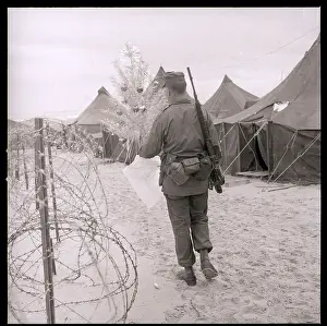 Chu Lai Prints: Marine Carrying Christmas Tree in Camp