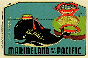 Whale Prints: Marineland of the Pacific