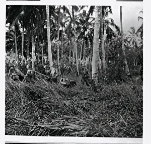 Guadalcanal Prints: Marines with Equipment on Moving Detail in Guadalcanal