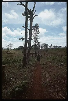 Trail Prints: Marines Walking Down Tree Lines Trail
