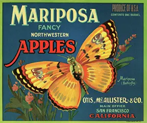 Fancy Prints: Mariposa Brand Apples