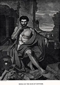 Images Dated 28th November 2018: MARIUS GAIUS (XXXL)