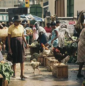 Huty32277 Prints: Market In Guadeloupe