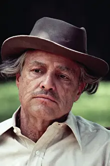 Marlon Brando in The Godfather