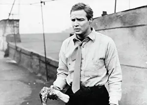 Marlon Brando In On The Waterfront