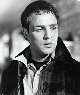Marlon Brando In On The Waterfront