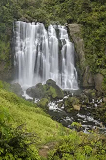Rain Forest Gallery: Marokopa Falls, Waikato, North Island, New Zealand