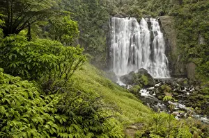 Marokopa Falls, Waikato, North Island, New Zealand