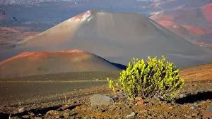 Maui Prints: Mars and Earth