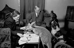 Australian Prints: Marsupial Guest