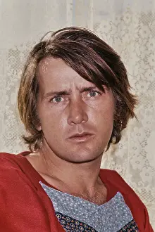 Martin Sheen, American Actor