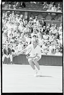 Martina Navratilova Prints: Martina Navratilova Playing Tennis
