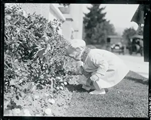 Pasadena Prints: Mary Faith McAdoo Picking Flowers