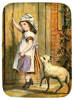 Images Dated 10th September 2010: Mary had a little lamb