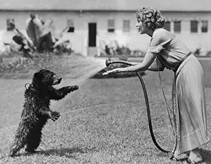 Bear Prints: Mary Pickford and Bear on Lawn