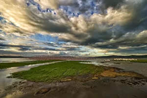 Images Dated 30th October 2010: Masses of Flamingoes Take to flight in this Wide Angle Landscape Photo of Lake Nakuru, Kenya