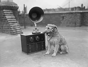 Images Dated 26th November 2018: His Masters Voice