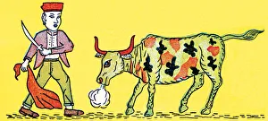 Ethnicity Gallery: Matador