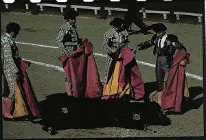 Matadors Looking at a Bull
