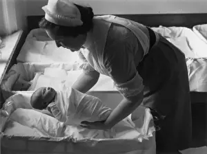 Roles And Occup Prints: Maternity Nurse