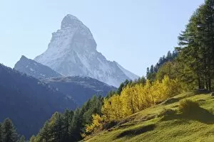 Images Dated 14th October 2011: Matterhorn in an autumnal area, Zermatt, Valais, Switzerland, Europe