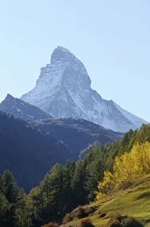 Matterhorn in an autumnal area, Zermatt, Valais, Switzerland, Europe