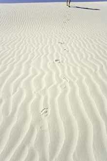 New Mexico Collection: Mature man leaving footprints on white gypsum sand dune, low section