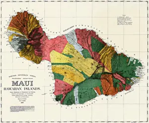 Islands Prints: Maui, Hawaiian islands