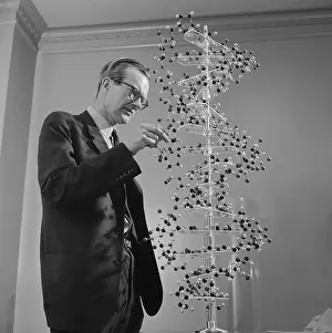 Maurice Wilkins Studying DNA Molecular Structure