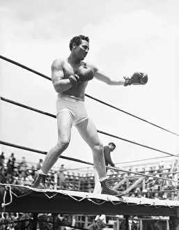 Max Baer Shown in Fighting Pose