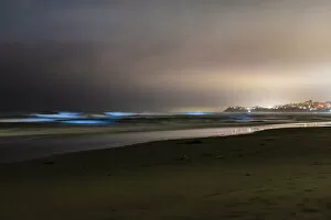 Images Dated 17th May 2018: May 2018 Bioluminescent Red Tide in San Diego County