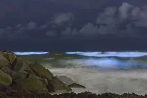 Images Dated 16th May 2018: May 2018 Bioluminescent Red Tide in San Diego County