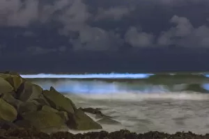 Images Dated 16th May 2018: May 2018 Bioluminescent Red Tide in San Diego County
