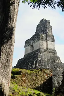 Guatemala Prints: Top of Mayan Pyramid Temple II, Tikal, Guatemala