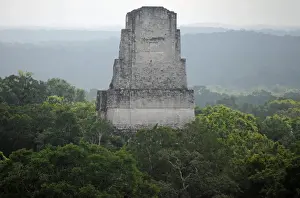 El Peten Prints: Mayan Pyramid Temple III and Forest, Tikal