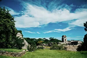 Images Dated 26th July 2011: Mayan ruins of Palenque