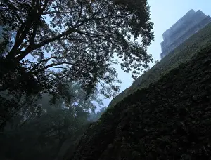 Mayan temple ruins in dawn mist, Tikal, Guatemala