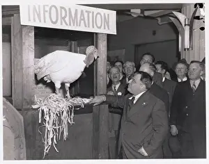 Mayor Fiorello La Guardia with Turkey at the Annual Poultry Show