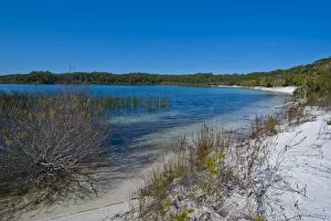 McKenzie Lake, Fraser Island, Queensland, Australia