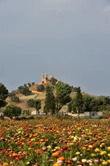 Pyramid Shape Prints: Meadow of coloured flowers in front of the church of Iglesia Nuestra Senora de los Remedios on the ruins of